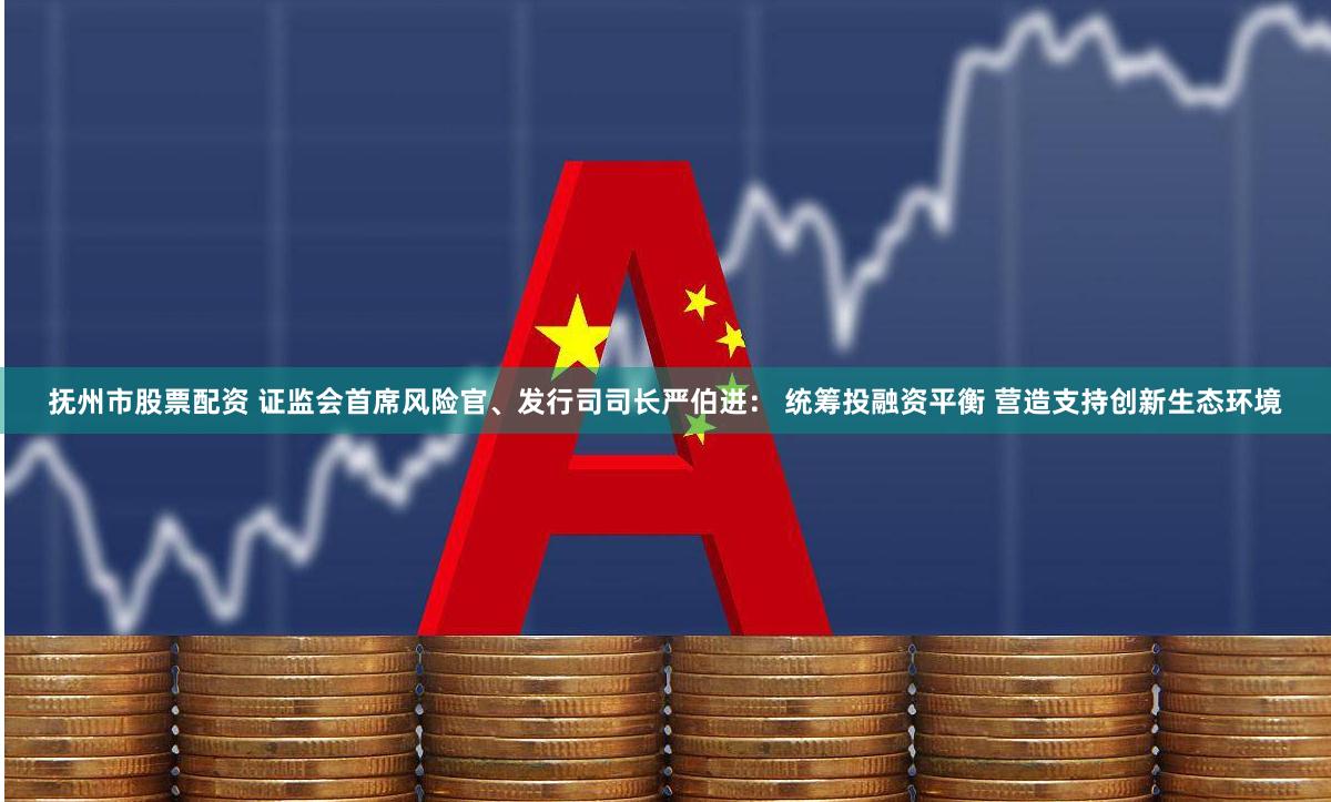 抚州市股票配资 证监会首席风险官、发行司司长严伯进： 统筹投融资平衡 营造支持创新生态环境