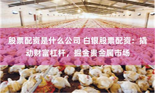股票配资是什么公司 白银股票配资：撬动财富杠杆，掘金贵金属市场
