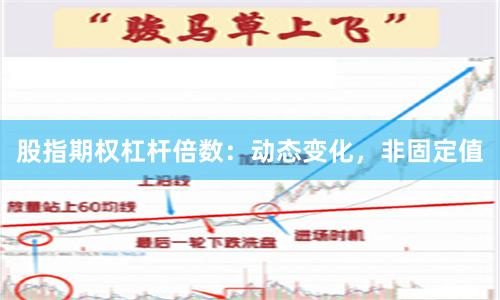 股指期权杠杆倍数：动态变化，非固定值